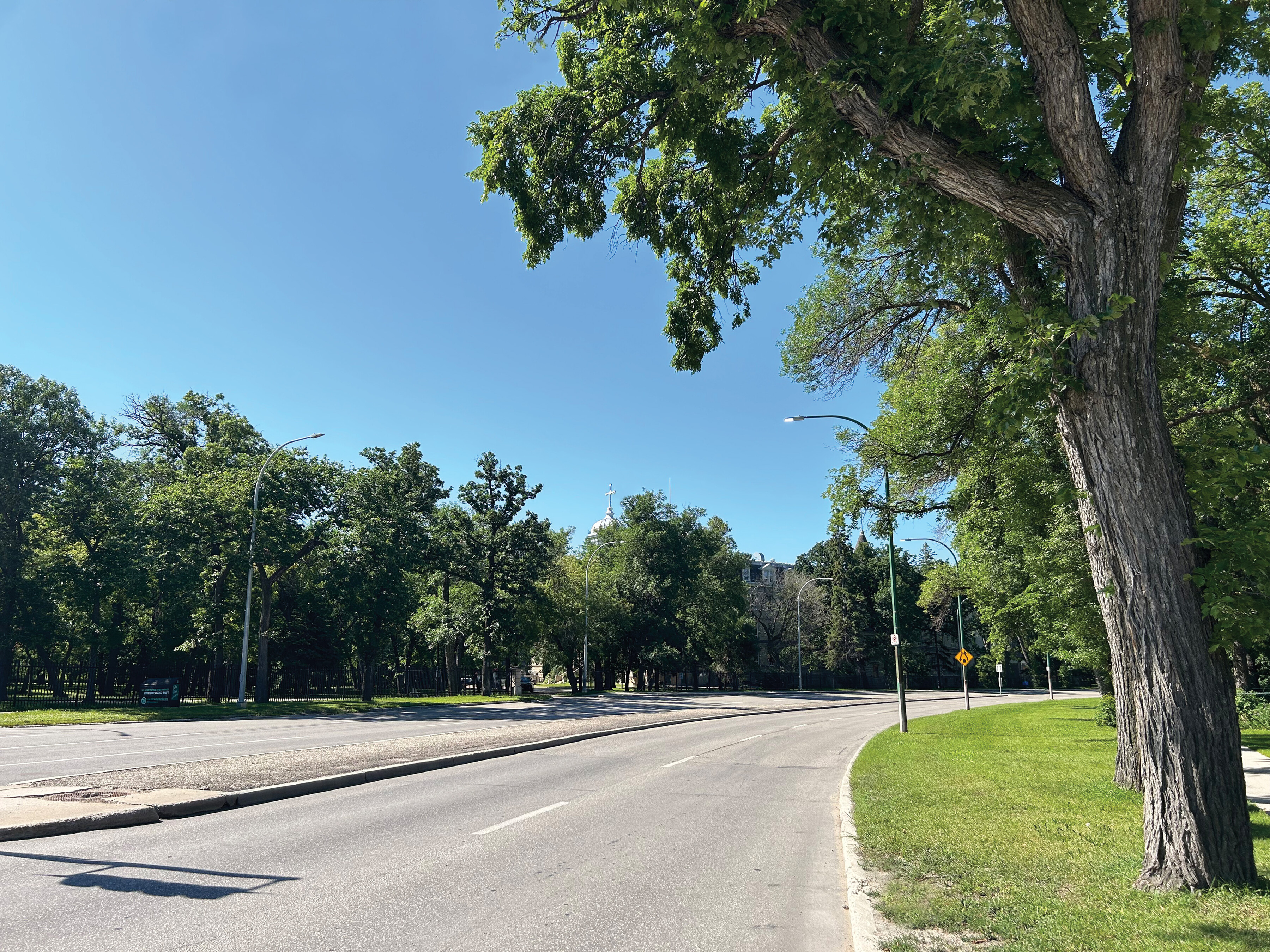 a road with no cars and trees in the background